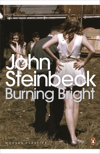 Cover of Burning Bright