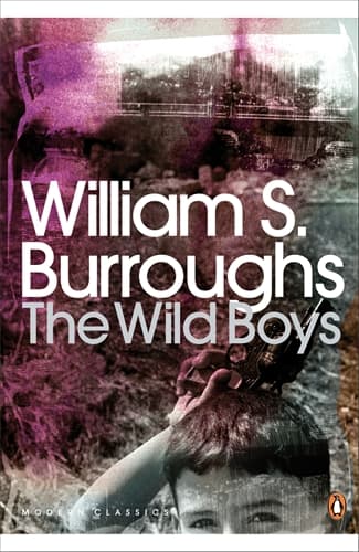 Cover of The Wild Boys