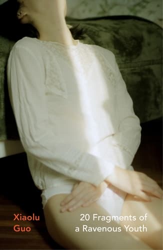 Cover of 20 Fragments of a Ravenous Youth